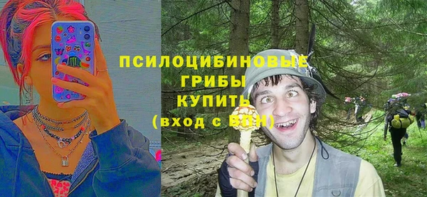 спайс Арсеньев